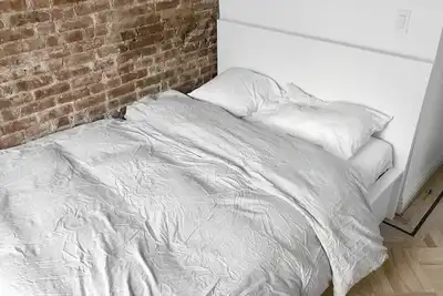 Luxury Historic Brooklyn Apt in Bed Stuy