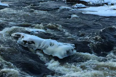 Image de Home rental all seasons, family and pet friendly.