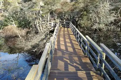 The Perfect Getaway in Wellfleet