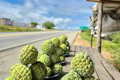 Image de Lar Jampa Praias Sul