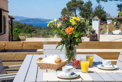 Image de Merlot - Domaine de la Navicelle