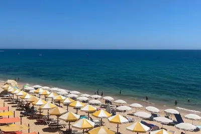 Image de The House of Su