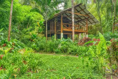 Image de Eco Jungle Cabin in Cabo Matapalo – Near Corcovado, Surf, Wildlife, & Sleeps 6