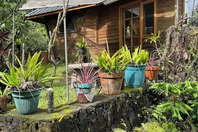 Image de Glam camping in a unique solar artist's cabin