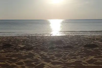 Image de Location en lisière de forêt et plage