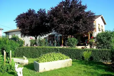 Image de Le Gîte de Bacchus - Julienas