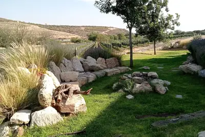 Image de Spectacular house surrounded by vineyards, ideal to enjoy with family or friends.