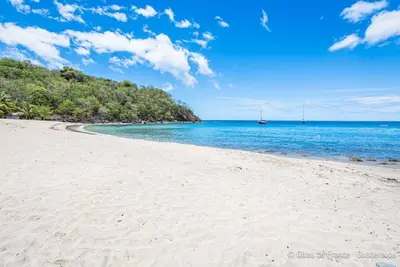 Image de Bungalow Cocotier