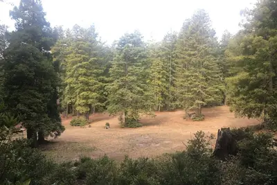 Image de Private Beach + 10-acre meadow with creek, Dog-Friendly Nature lovers Paradise!