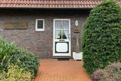 Beach thistle, Germany