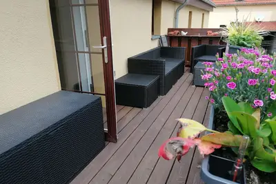 Image de Vacations at the gates of the classical city of Weimar. At the Ettersberg