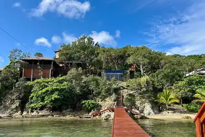 Image de Dancing Oaks on the Ocean