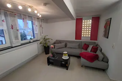 Image de Forest & vision