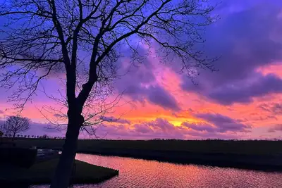 Image de Luxury bungalow with view on quiet park in Kattendijke, Zeeland