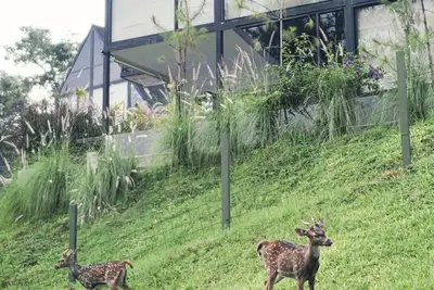 Solitude Villa Tahura