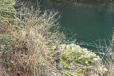 Image de Peaceful 1-bedroom waterfront apartment in  Washougal perfect for relaxing.