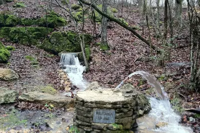 Image de Cedar log cabin overlooking spring-fed ponds with waterfalls at Wautauga Springs