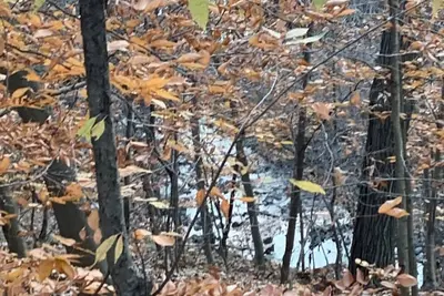 Image de Wildlife retreat w/creek views within minutes from Metroparks!