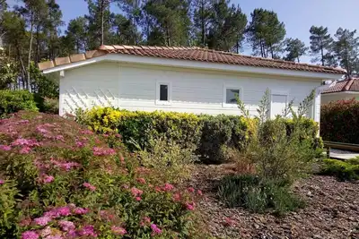 Image de Chalet de charme Landes