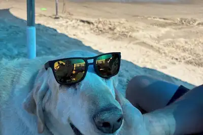 Image de New 4-bedroom, 3 bath, fully fenced\n2 Rv spots with water/electric