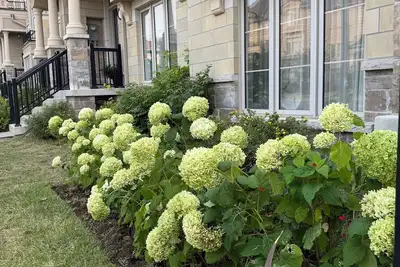 Image de Beautiful Urban Home in the Center of Vaughan