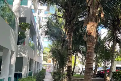 Image de Coconut Beach