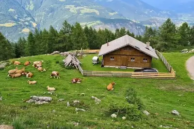 Image de Vacation home for 10 guests with 130m² in Oberpirkach (294798)