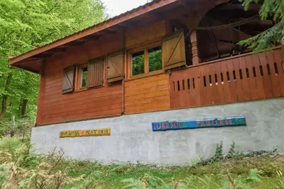 Image de KALMul naturii, iureșul pădurii