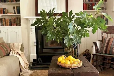 Image de Dove Cottage Burra