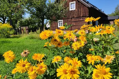 Image de Pracownia Boruja Heritage Country House –4 Bedrooms, Large Garden, Near the Lake