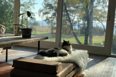 Image de Modern apartment by the sea - Mossbystrand