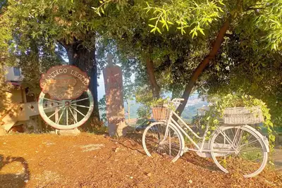 Image de Un posto dove si respira relax e armonia