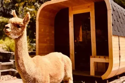 Image de Alpaka-Ferienhaus Oenzlen by Interhome