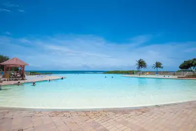 Image de Der Tropische Flamboyant by Interhome