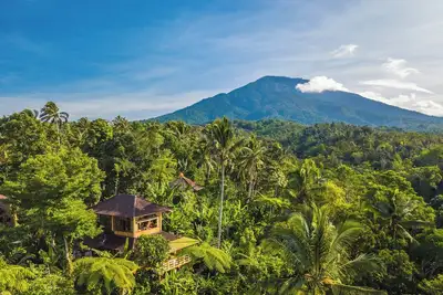 Image de Charming Family Bungalow in the treetops at Sarinbuana Eco Lodge