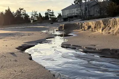 Image de Sandy Bottom: Summer Beachfront Bliss | Swim, Kayak, Relax