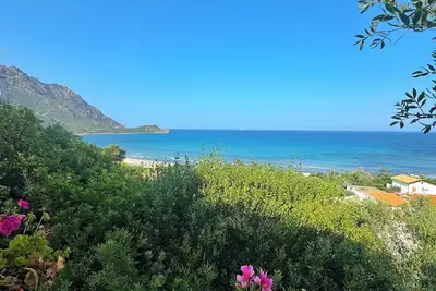 Image de \" Sea Breeze Joy Collection \"