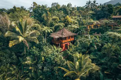 Image de Jungle House with Stunning views and a Natural pool!