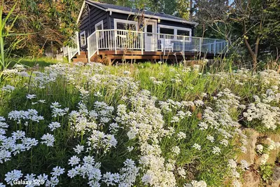 Image de Madrona, Camano Island; Beautiful  2-bedroom cottage updated with you in mind.