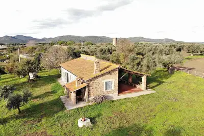 Image de Cozy farmhouse nestled in the greenery of the sacred area of ancient Caere