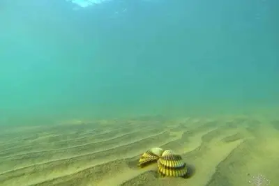 Image de P Stil Apartmani