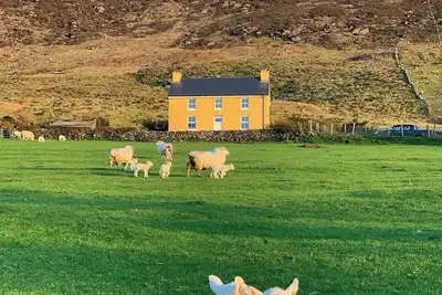 Image de Hidden Hills Waterville Farmhouse