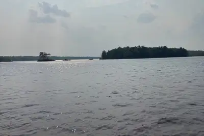 Huge Private Beach • Cozy Forest-Edge Cottage Getaway