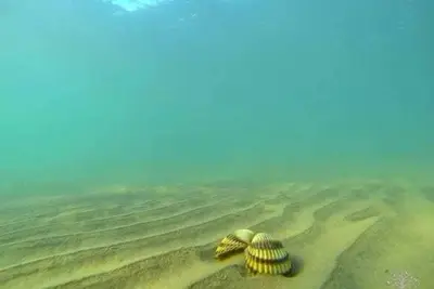 Image de P Stil apartmani - Two bedroom apartment - First floor