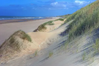 Image de Le Saint-Georges - Charmant T2 à 200m de la plage et des commerces