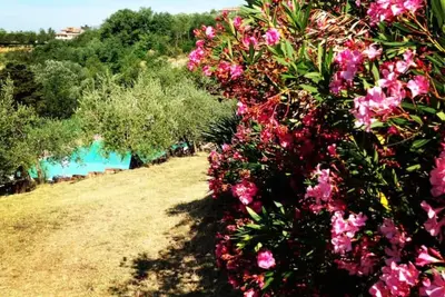 Image de Villa Ginestruzze – Villa avec Piscine Privée et Suites Exclusives en Toscane