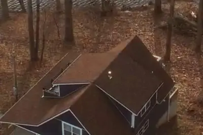 Image de The Blue Herron of Carpenters Lake