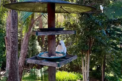 Image de Gold Coast Pet-friendly Nature House