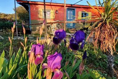 Image de Charme et confort en nature, une touche bohème avec piscine et vue splendide.