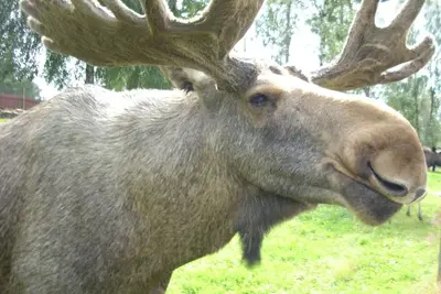Image de Gemütliches Cottage mit Whirlpool by Interhome